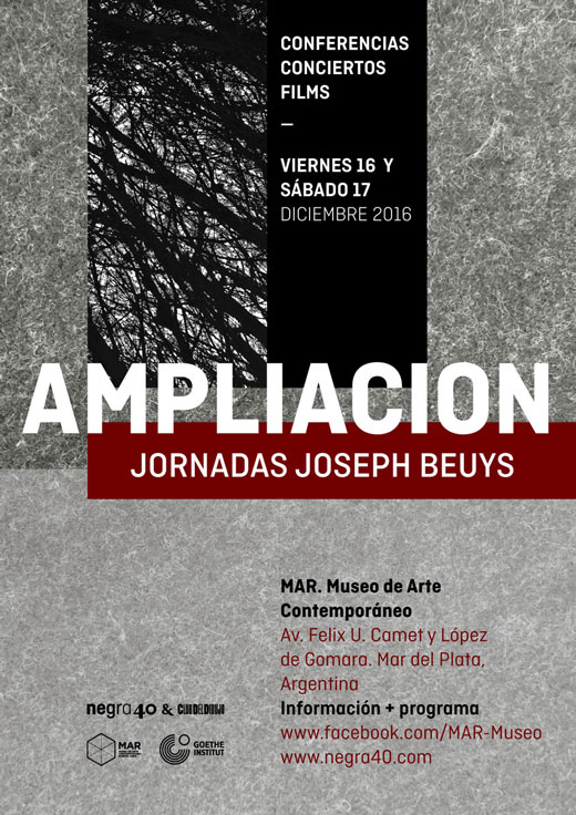 Ampliación – Jornadas Joseph Beuys