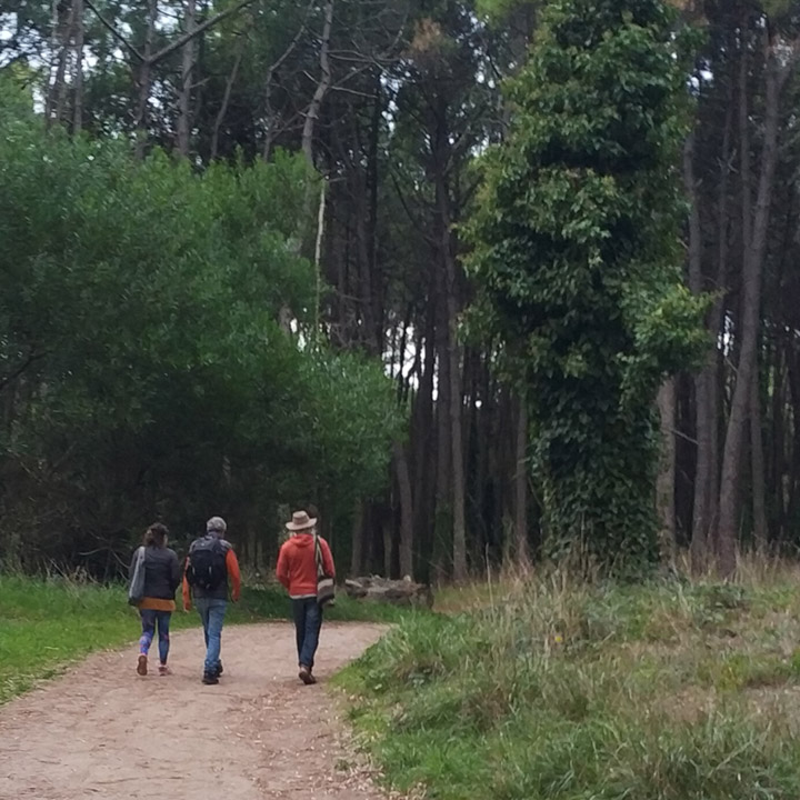 Día 2: Caminatas en el Bosque y en el Mar 4