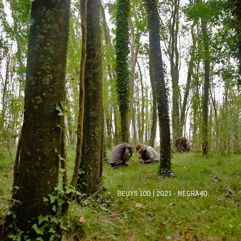 Día 4: Arbolatum, Música para un Bosque