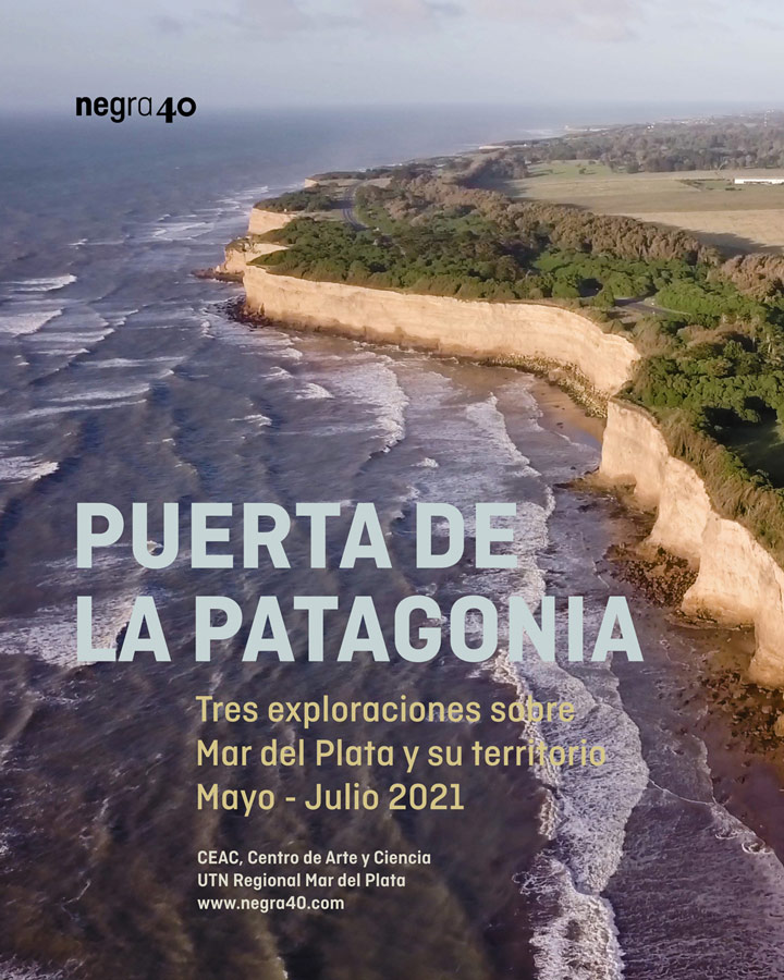 Puerta de la Patagonia / Conferencias sobre Mar del Plata 4