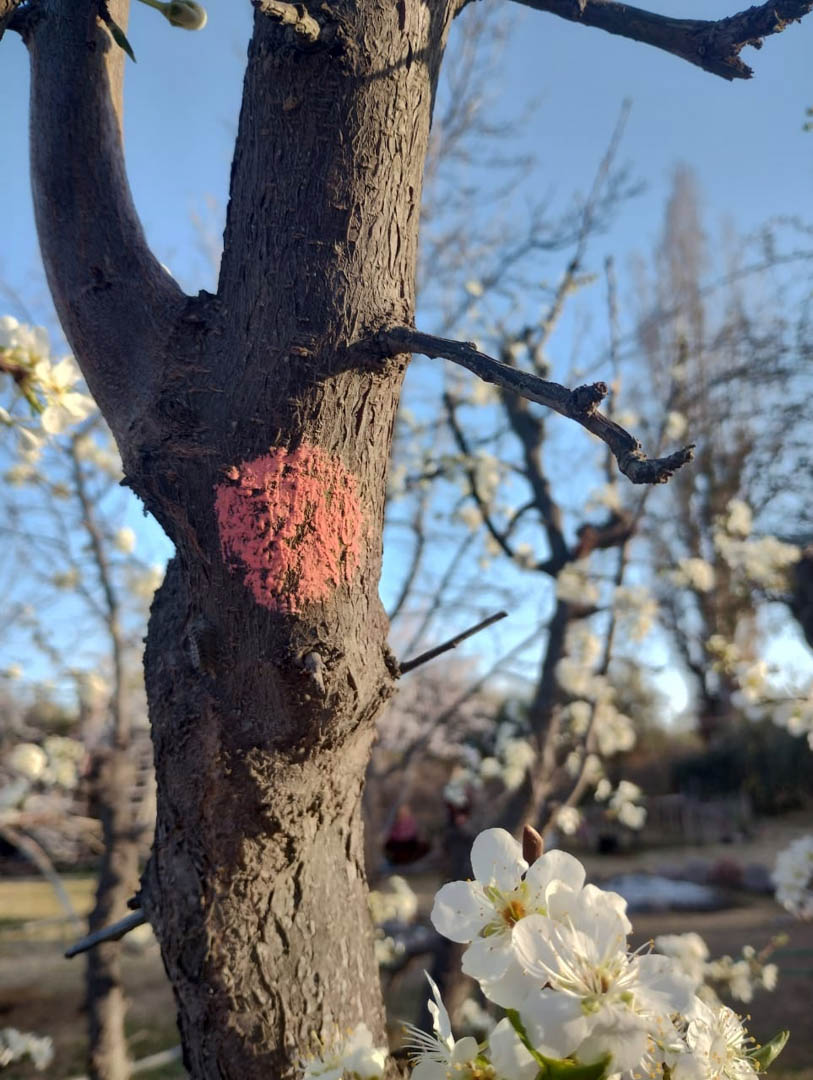 Acción solsticio invierno / verano 3