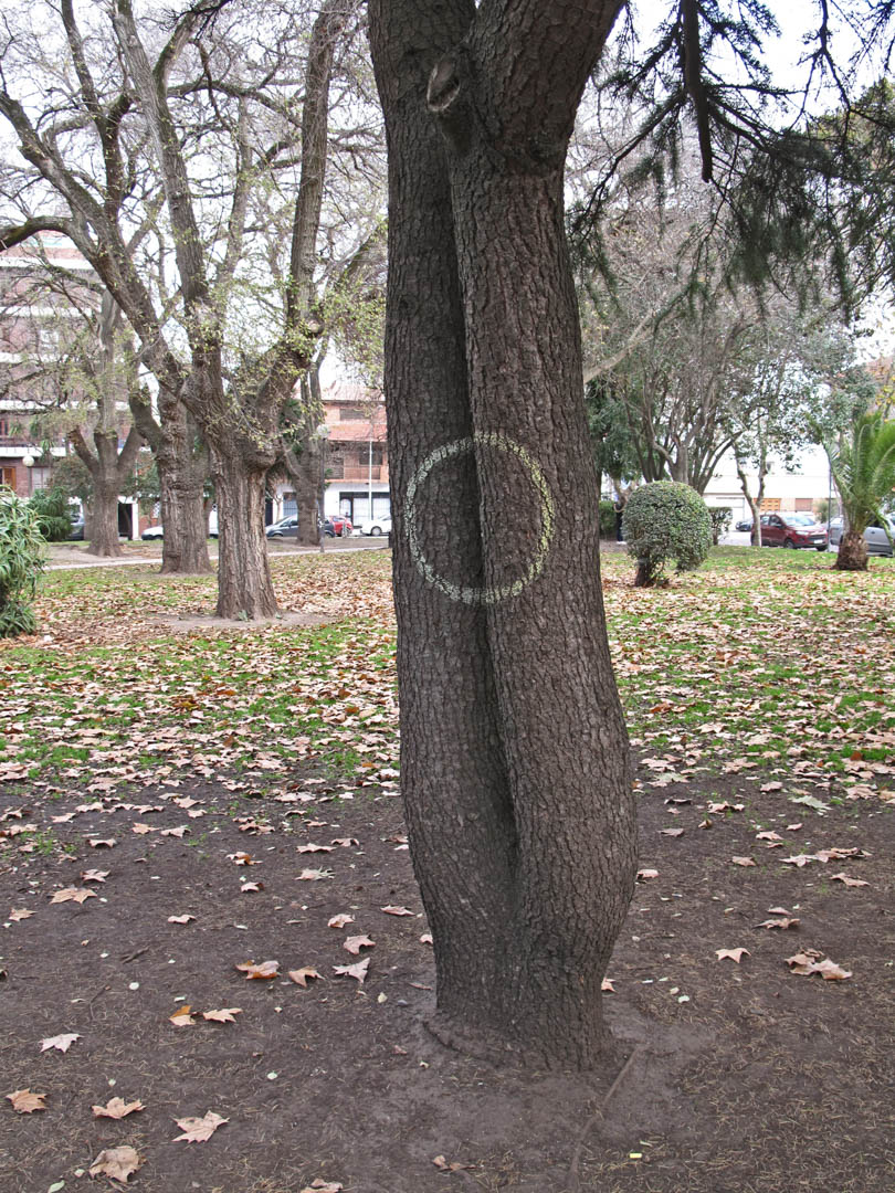 Acción solsticio invierno / verano 14