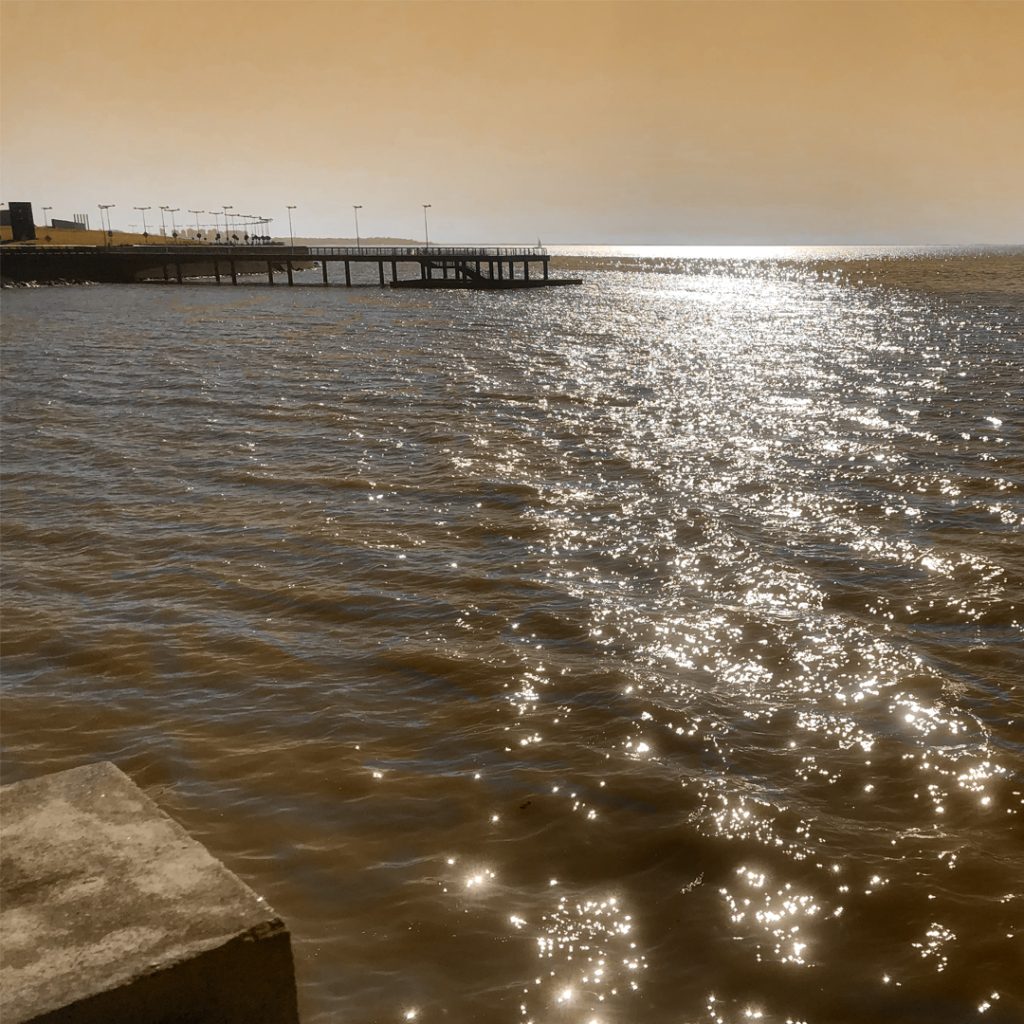 Apocalipsis Río de la Plata 1