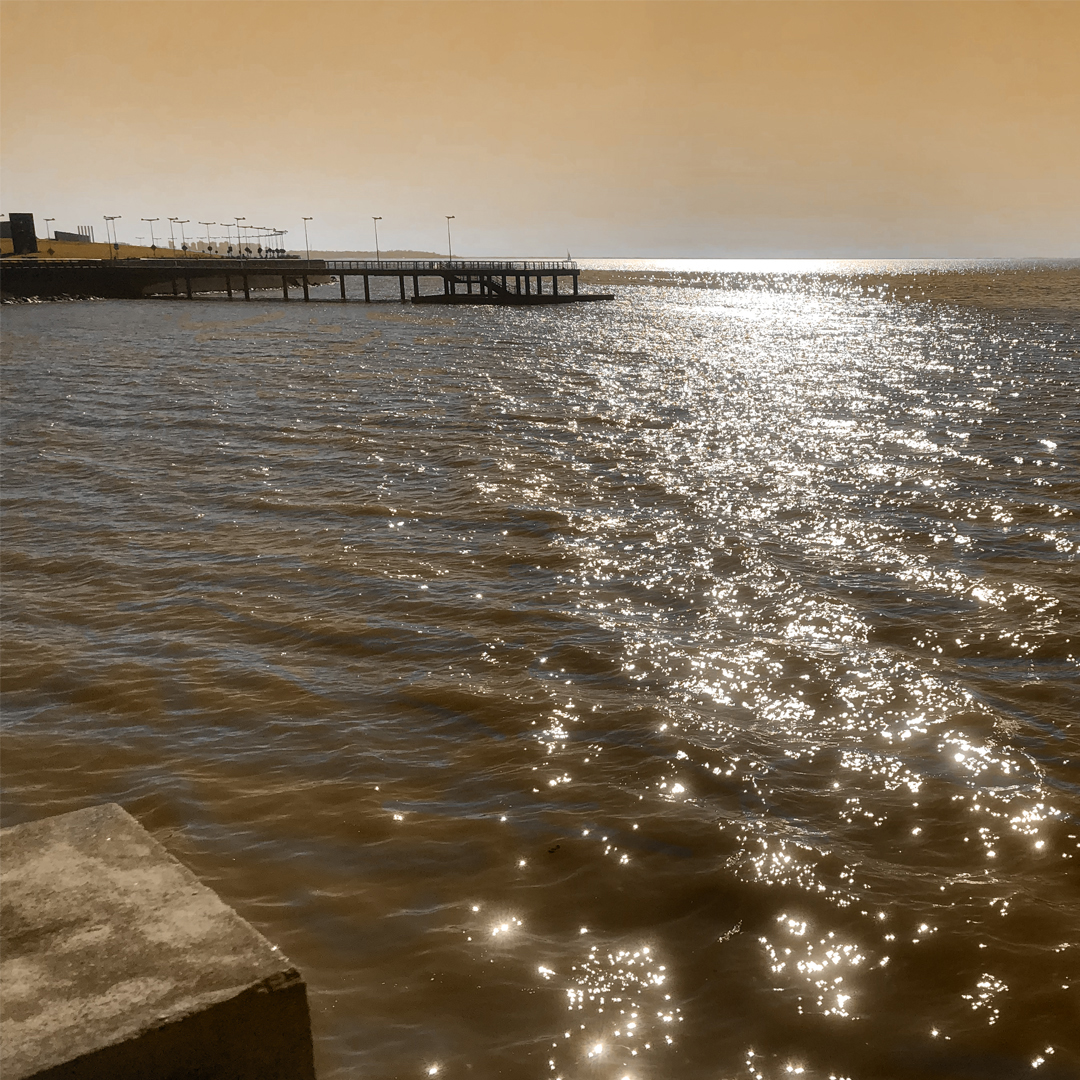 Apocalipsis Río de la Plata