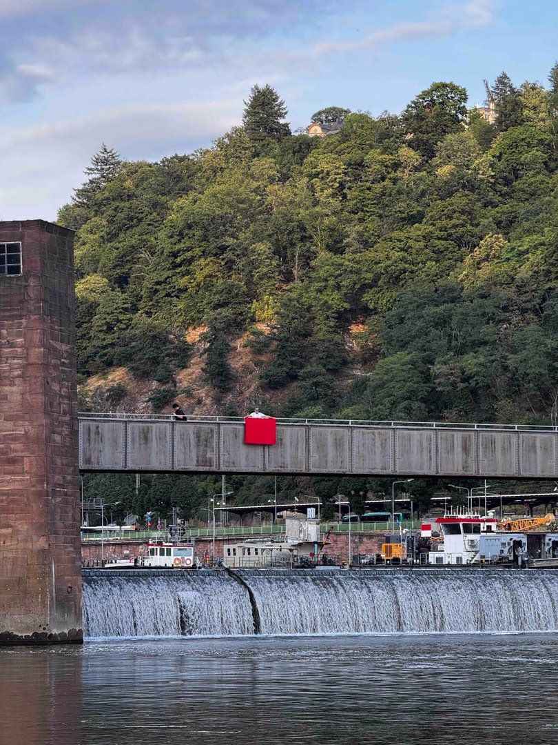 Acción Neckar 23