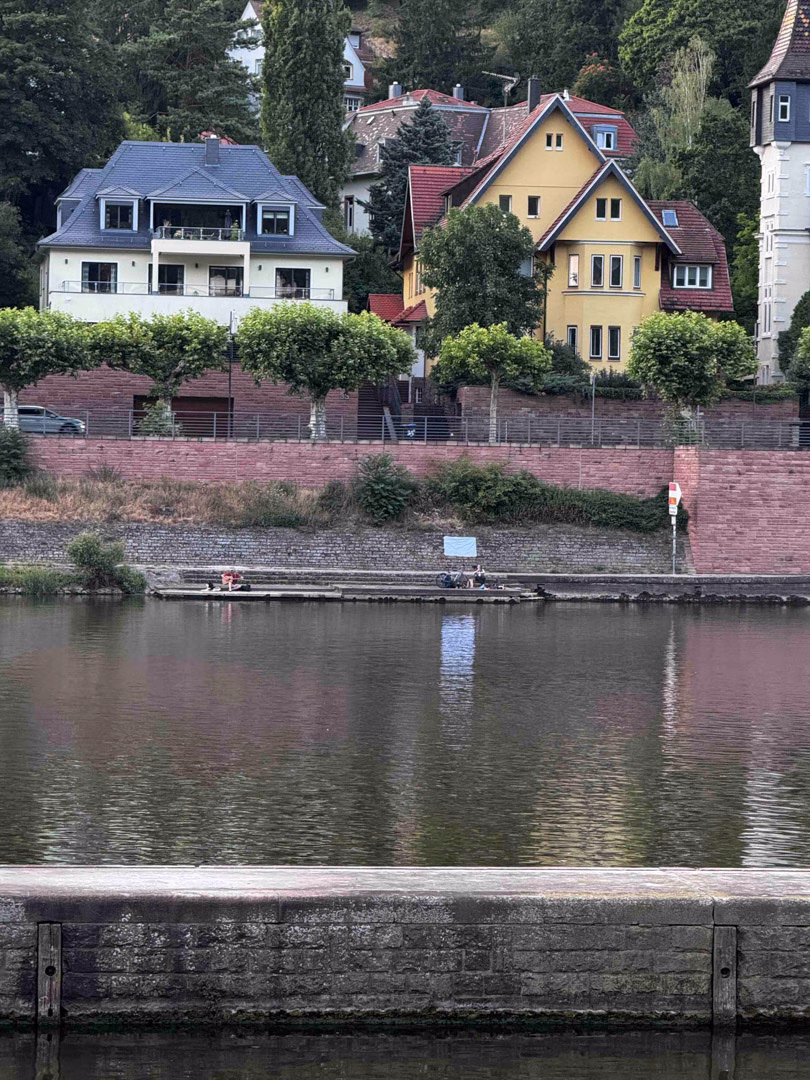 Acción Neckar 21