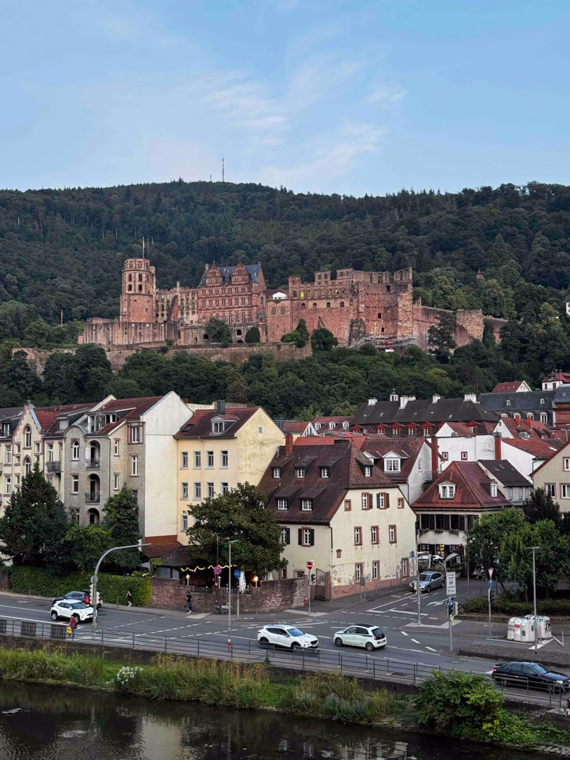 Acción Neckar 20