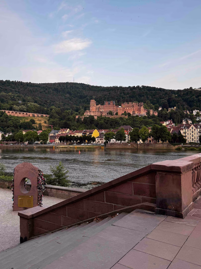 Acción Neckar 19