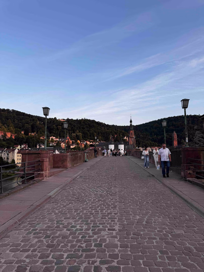 Acción Neckar 16