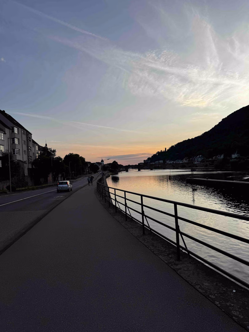 Acción Neckar 14