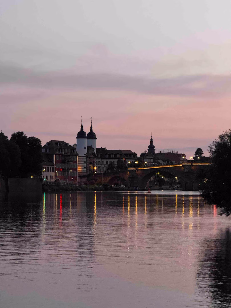 Acción Neckar 13