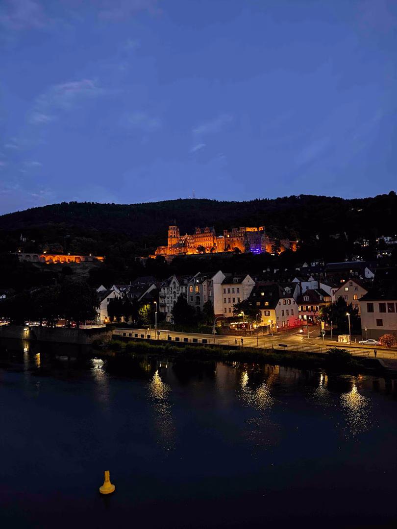 Acción Neckar 10