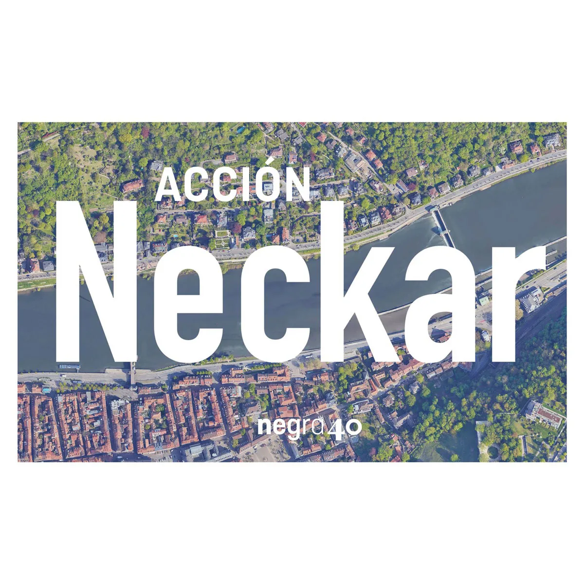 Acción Neckar